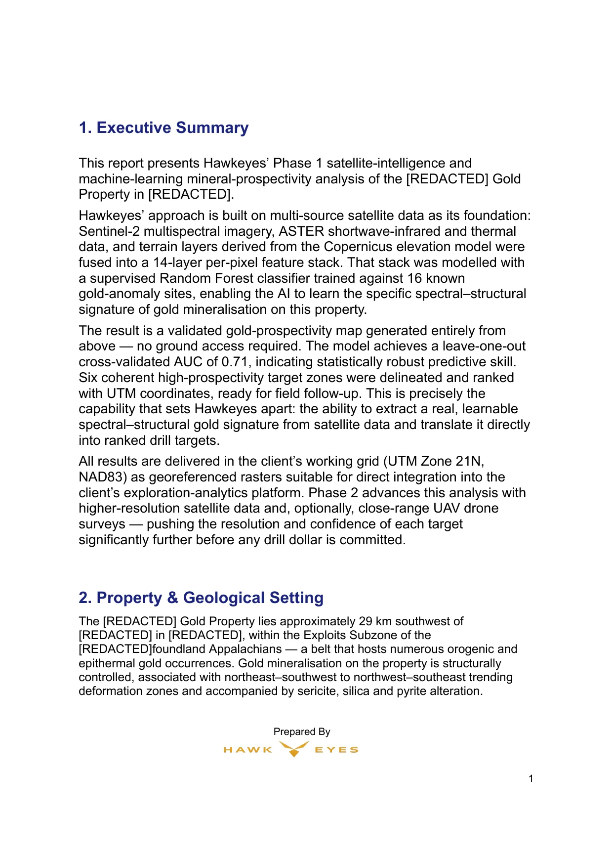 Sample report page 1: Executive Summary and Property & Geological Setting